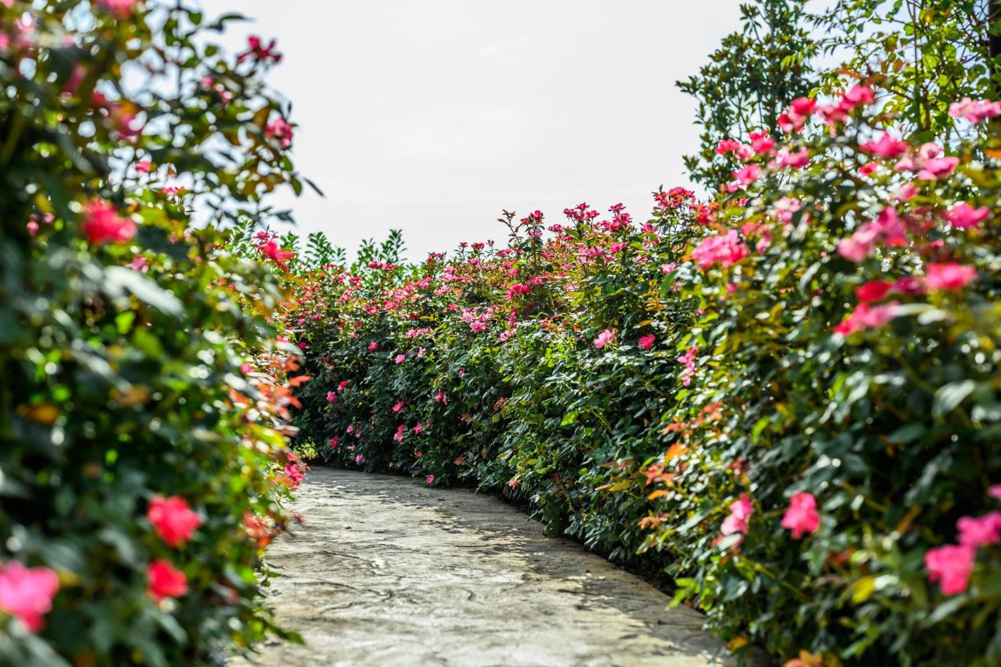 Bed and Breakfast La Casa Di Valeria - Modena Zewnętrze zdjęcie